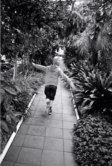 12 vuotiaan lapsen oikeus tulla kuuluksi /  kuulemisvelvoite huostaanotto ja sijaishuolto / sijoittaminen.